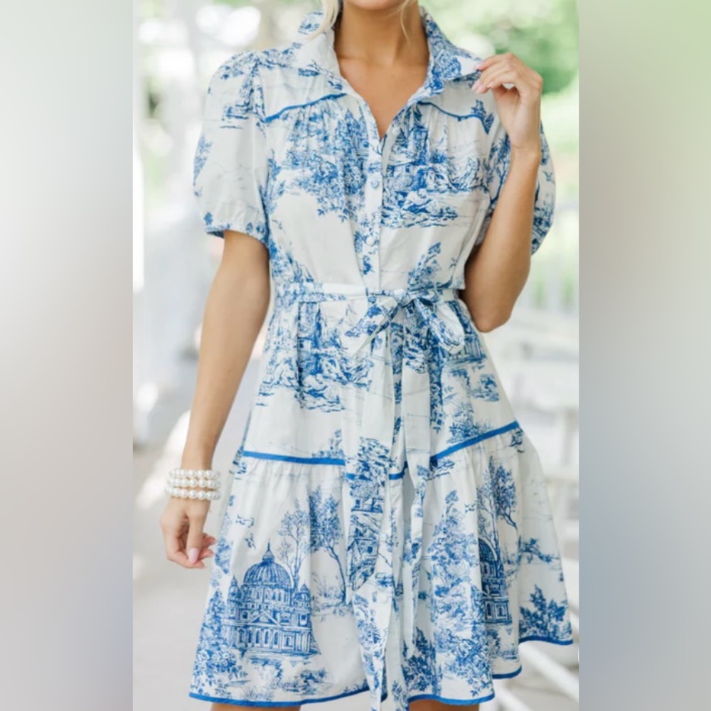 Umgee Blue and White Printed Dress